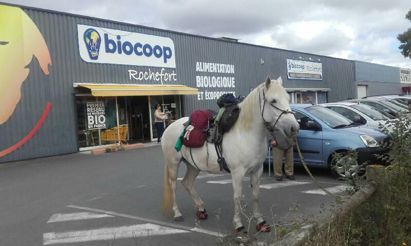 Vu sur le parking de Biocoop Rochefort !