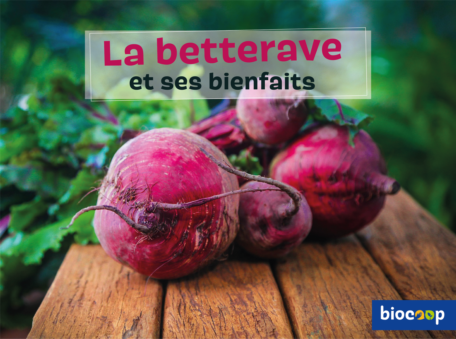 La betterave et ses bienfaits !